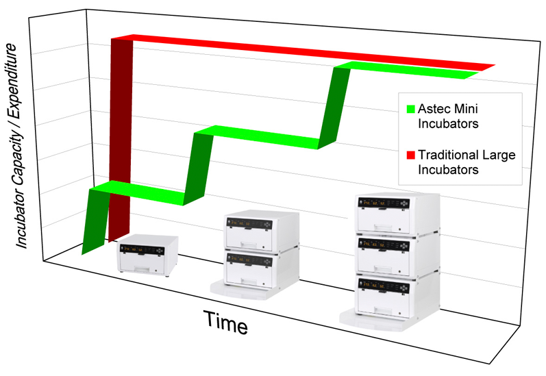 Build Capacity Gradually and Spread Out Expenditures