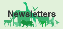 Newsletters